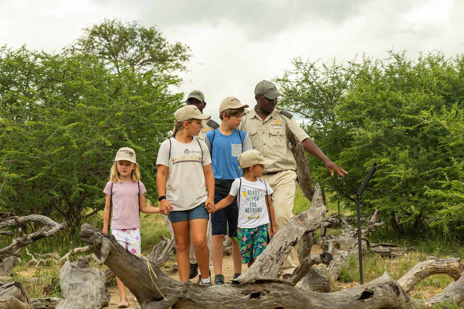 Kambaku safari lodge bookings images reservations (1)