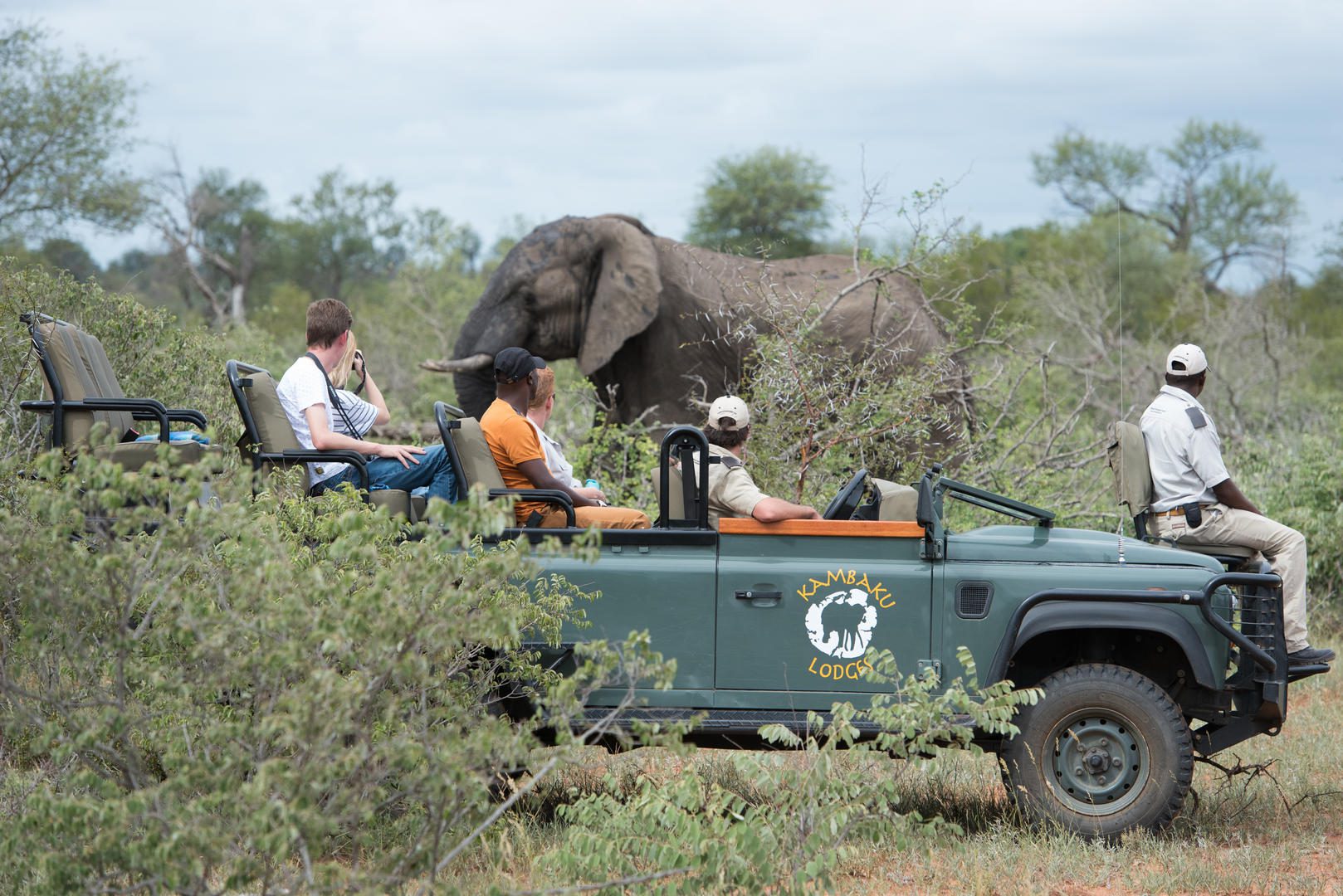 Kambaku safari lodge bookings images reservations (25)