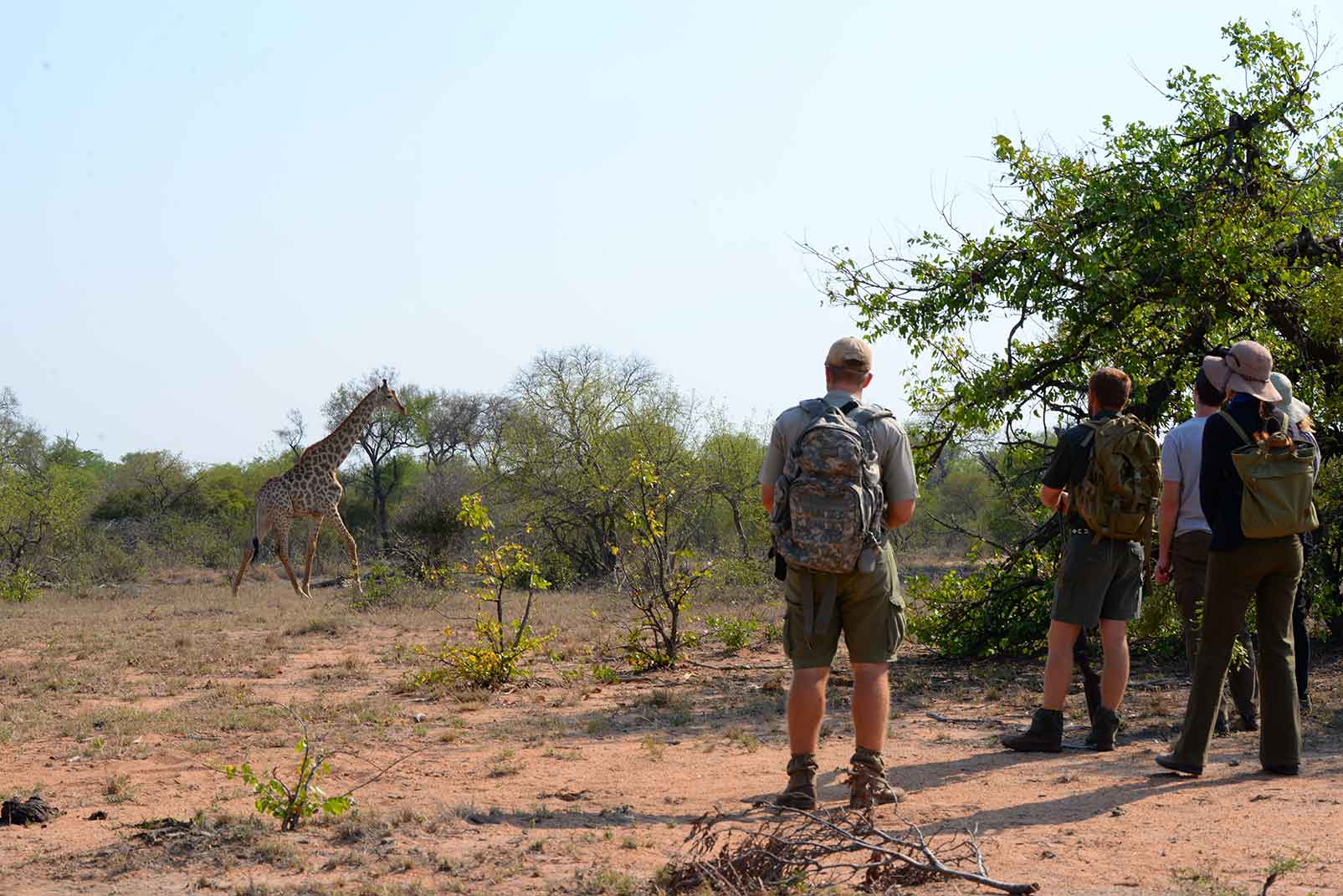 africa on foot lodge (29)