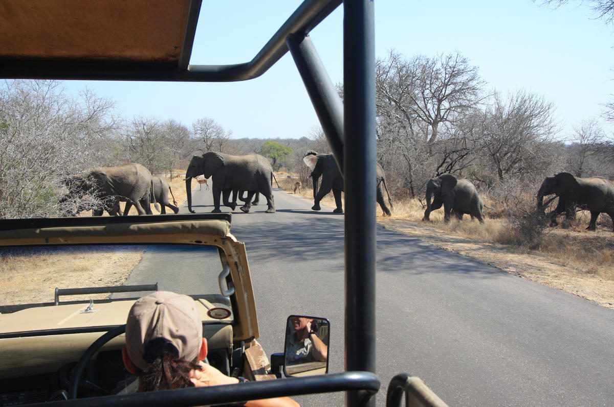 rhino post safari lodge (31)