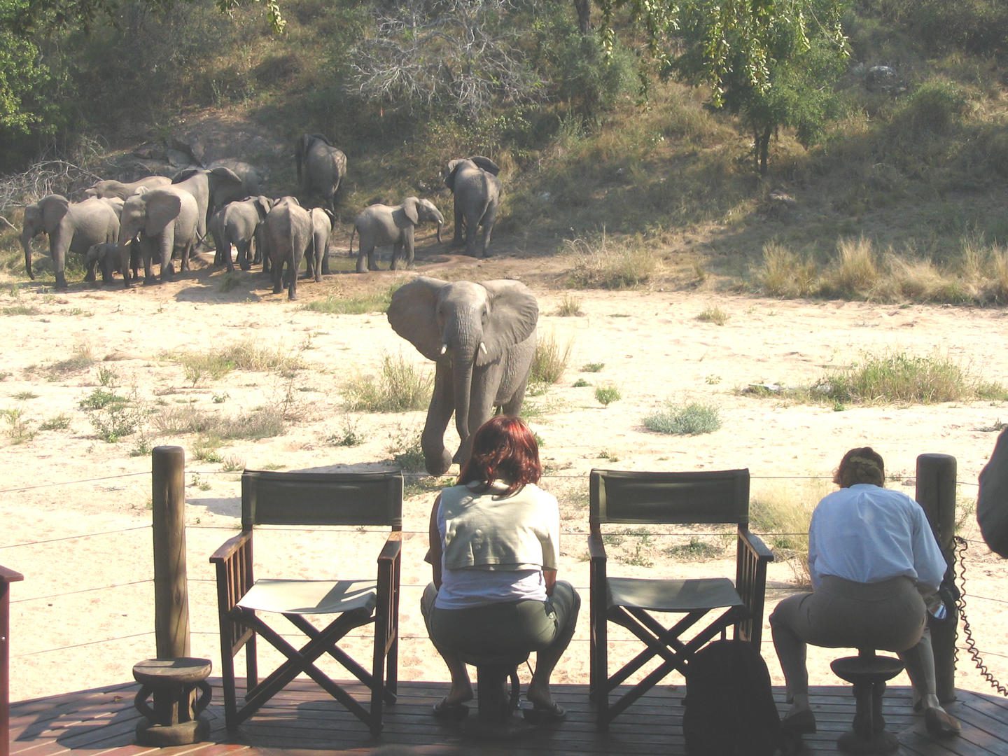 rhino post safari lodge (7)