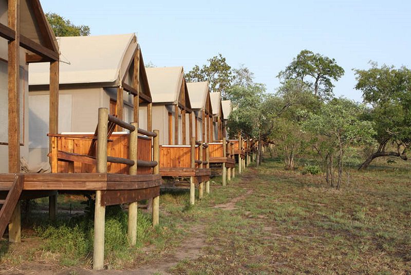 Nkambeni Safari Camp Tent