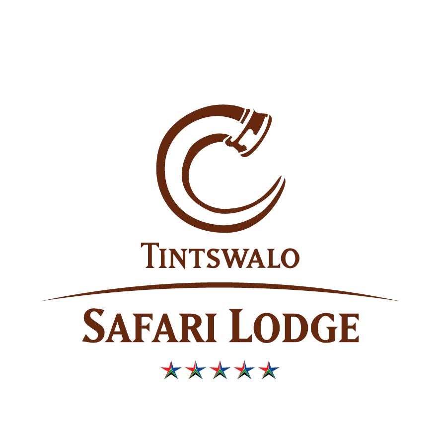 Tintswalo logo