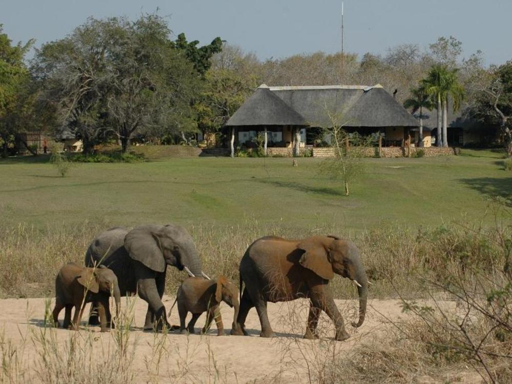 buffelshoek elephants