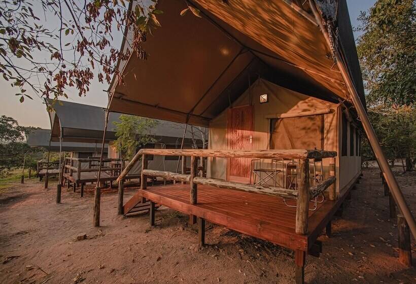 nkambeni safari camp kruger national park tents