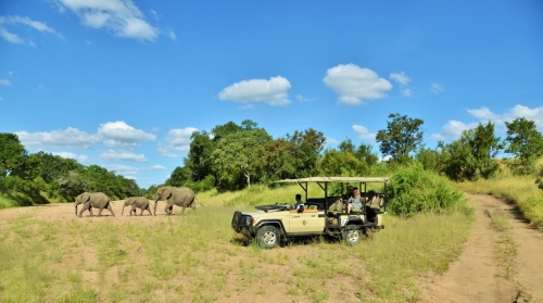 Imbali Safari Lodge Safari