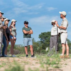 kwambili safari camp thornybush (100)