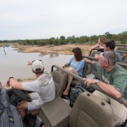 kwambili safari camp thornybush (94)