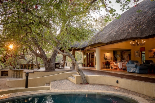 shimungwe lodge thornybush african safaris direct (10)