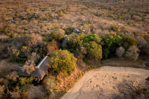 shimungwe lodge thornybush african safaris direct (9)