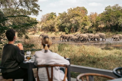 simbavati river lodge images african safaris direct (7)