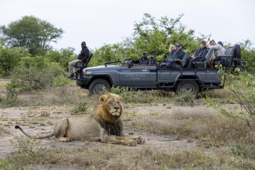 simbavati waterside african safaris direct (12)